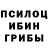 Псилоцибиновые грибы Cubensis DilM,19:45