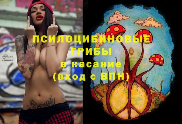 твердый Заволжье