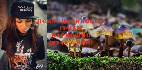 mdpv Заволжск